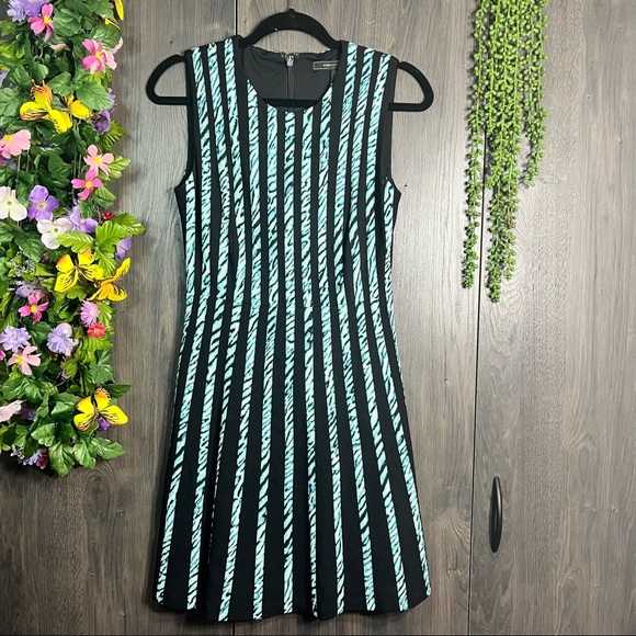 BCBGMaxAzria Dresses & Skirts - °BCBGMaxAzria Sleeveless Stripped Fit & Flare Dress Size XS